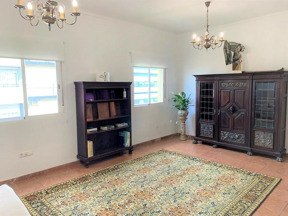 Wide And Traditional- 2Bd 1Bth- Gavidia Seville Apartment